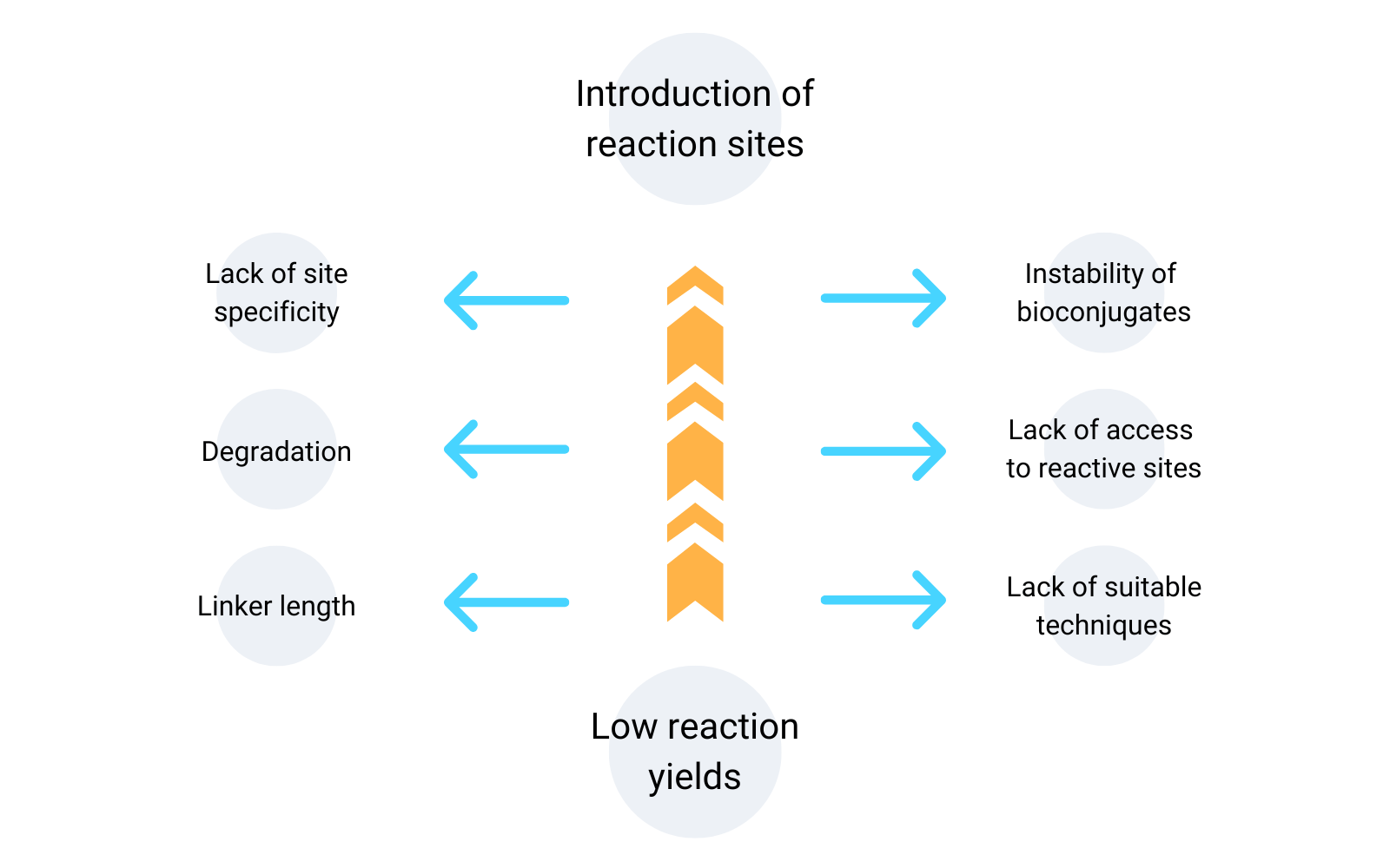 Bioconjugate Techniques 【公式通販】